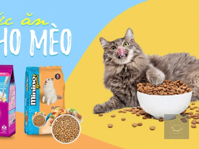 3 THƯƠNG HIỆU THỨC ĂN CHO MÈO NỔI TIẾNG ĐƯỢC SỬ DỤNG NHIỀU NHẤT