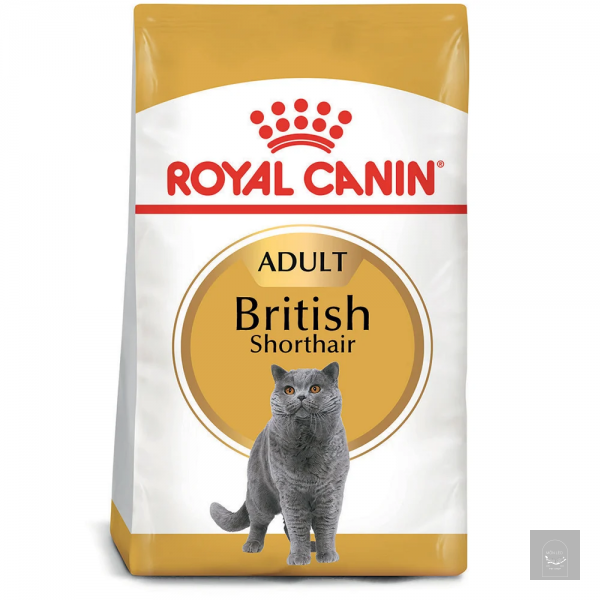 Hạt Royal Canin British Shorthair Adult