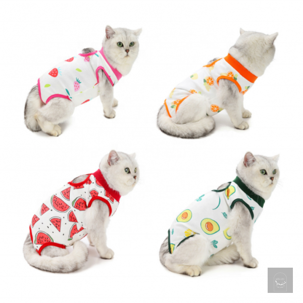 Quần áo cho chó mèo