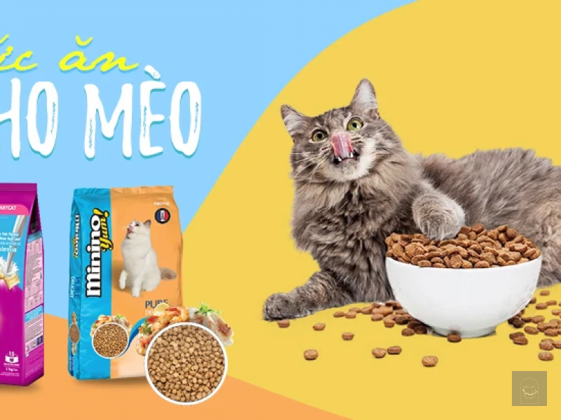 3 THƯƠNG HIỆU THỨC ĂN CHO MÈO NỔI TIẾNG ĐƯỢC SỬ DỤNG NHIỀU NHẤT