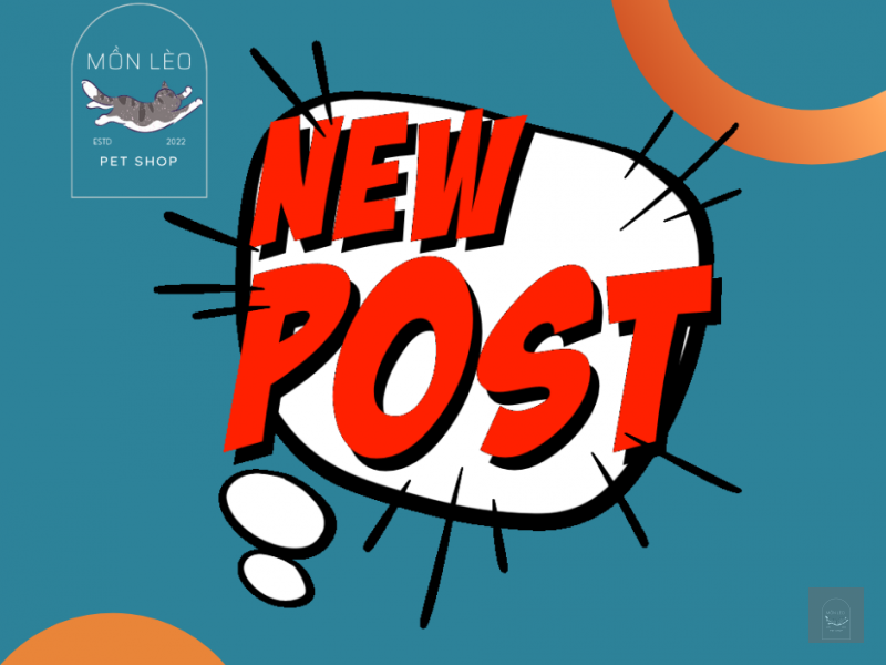 Giới Thiệu Về Pet Shop