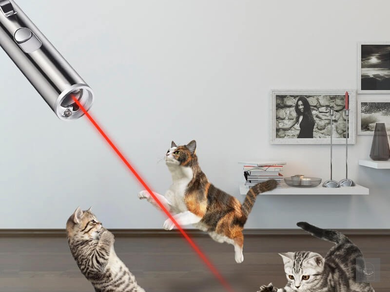 ĐÈN LASER CHO MÈO