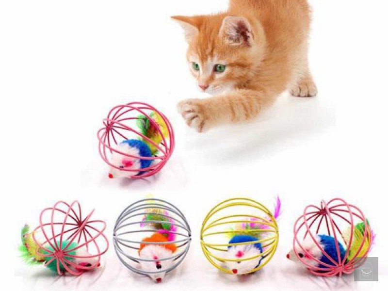 ĐỒ CHƠI LỒNG BÓNG CHO MÈO