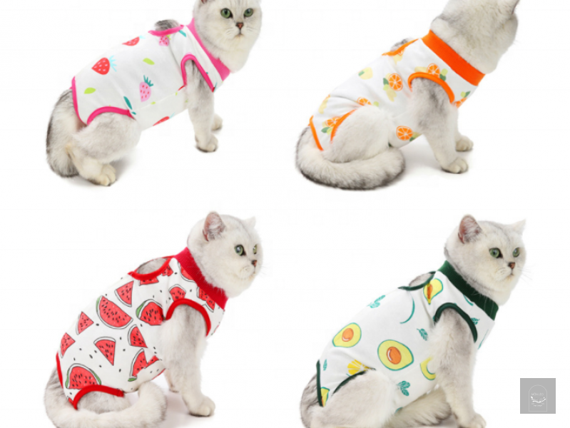 Quần áo cho chó mèo